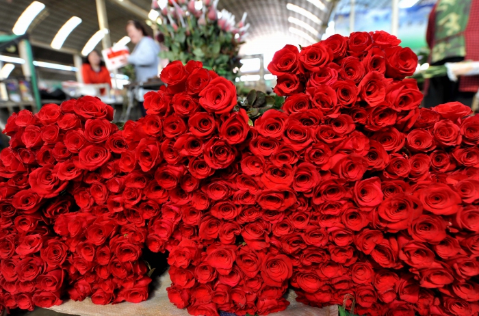 1440066875767460.jpg 1440066875767460.jpg